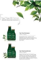 Beaver Tea Tree Şampuan 350 ml - 3