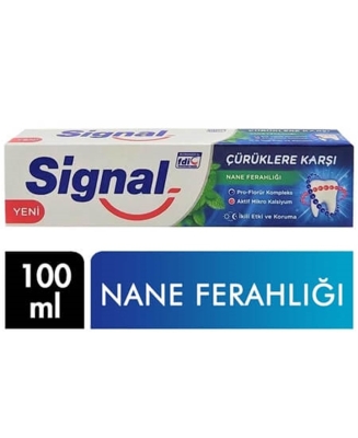 Signal Çürüklere Karşı 100 ml Diş Macunu Nane Ferahlığı - 1