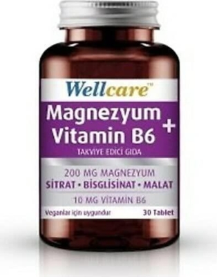 Wellcare Magnezyum + Vitamin B6 30 Tablet - 1