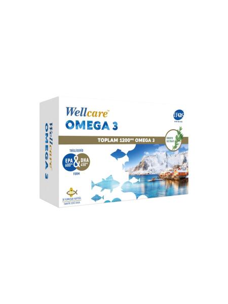 Wellcare Omega 3 Balık Yağı 30 Kapsül - 1